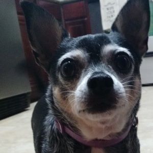 Meet your Posher, Hope